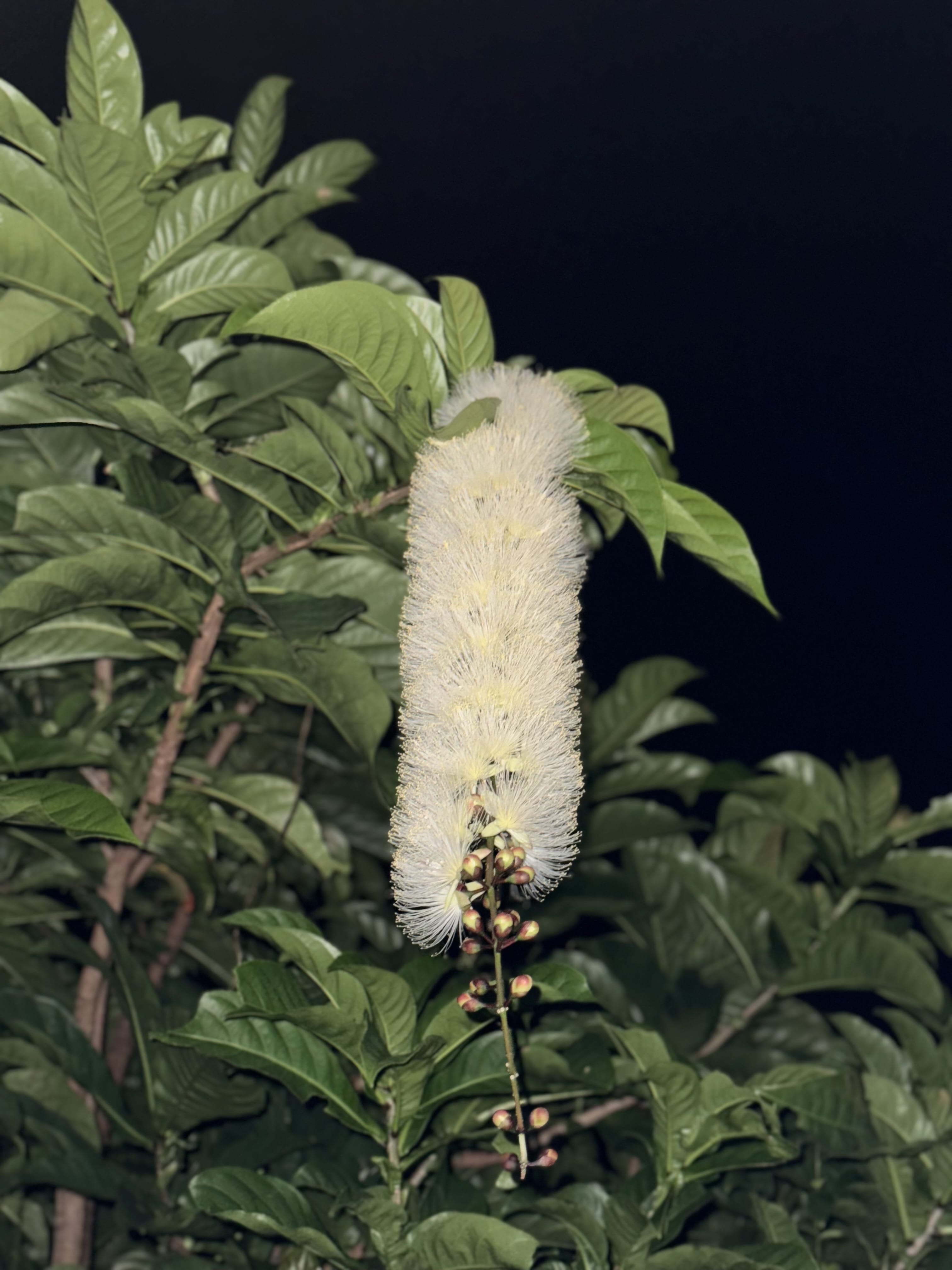 line_oa_chat_251102_131805-min