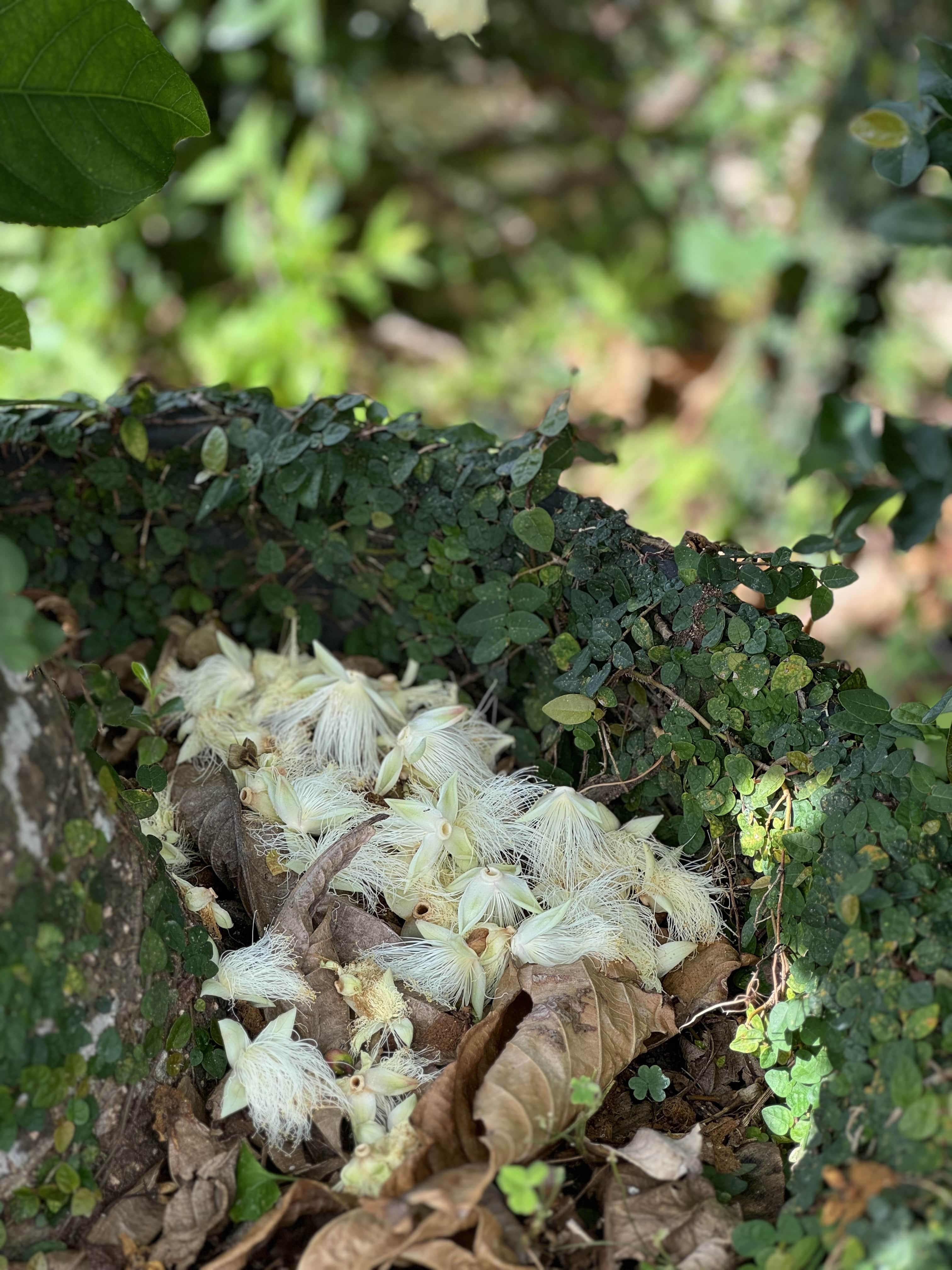 line_oa_chat_251102_131810-min