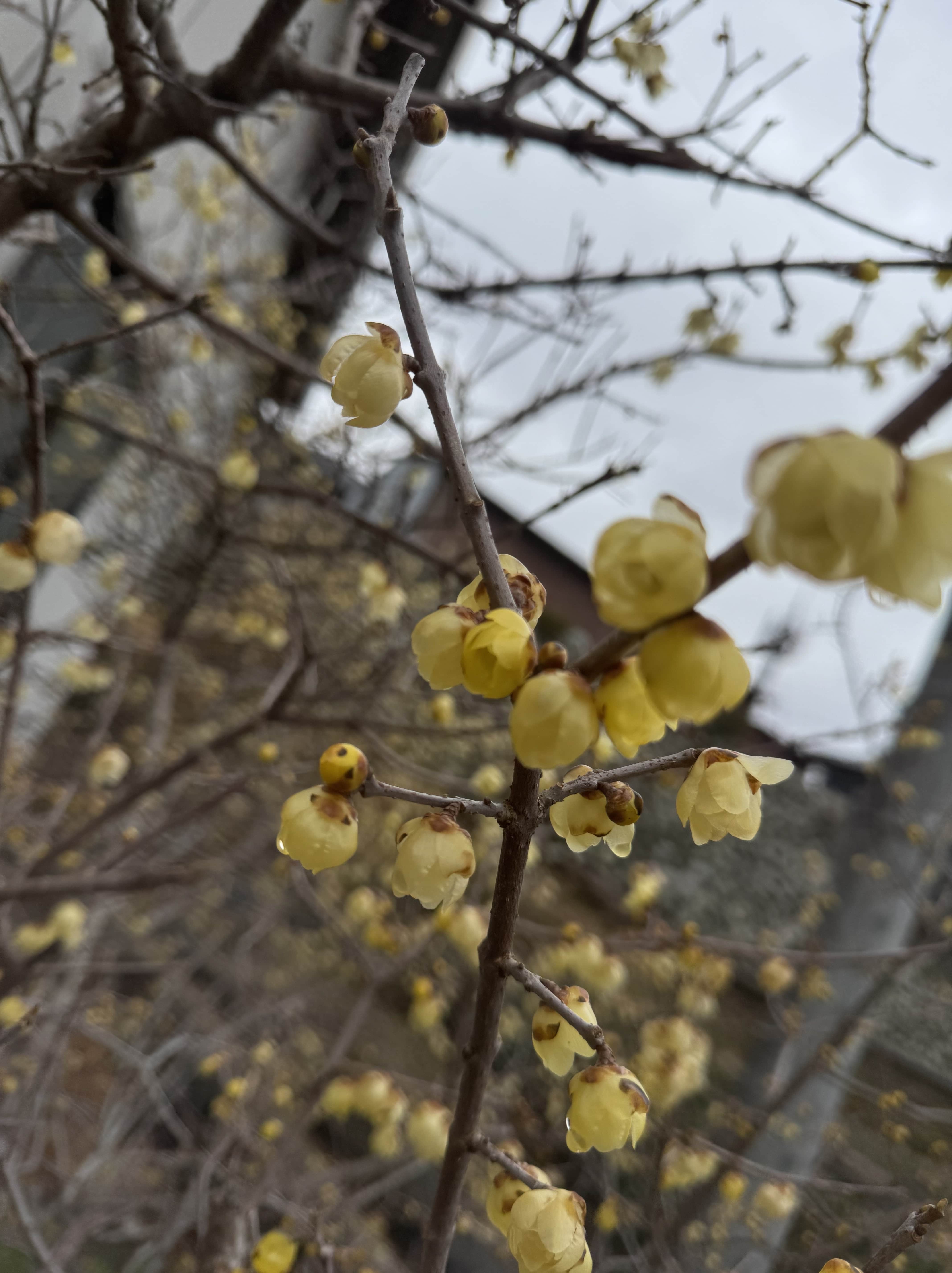 line_oa_chat_251102_131812-min