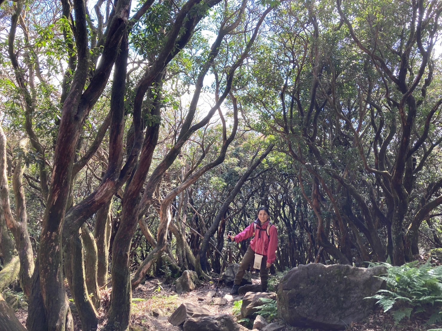 line_oa_chat_251128_153403-min