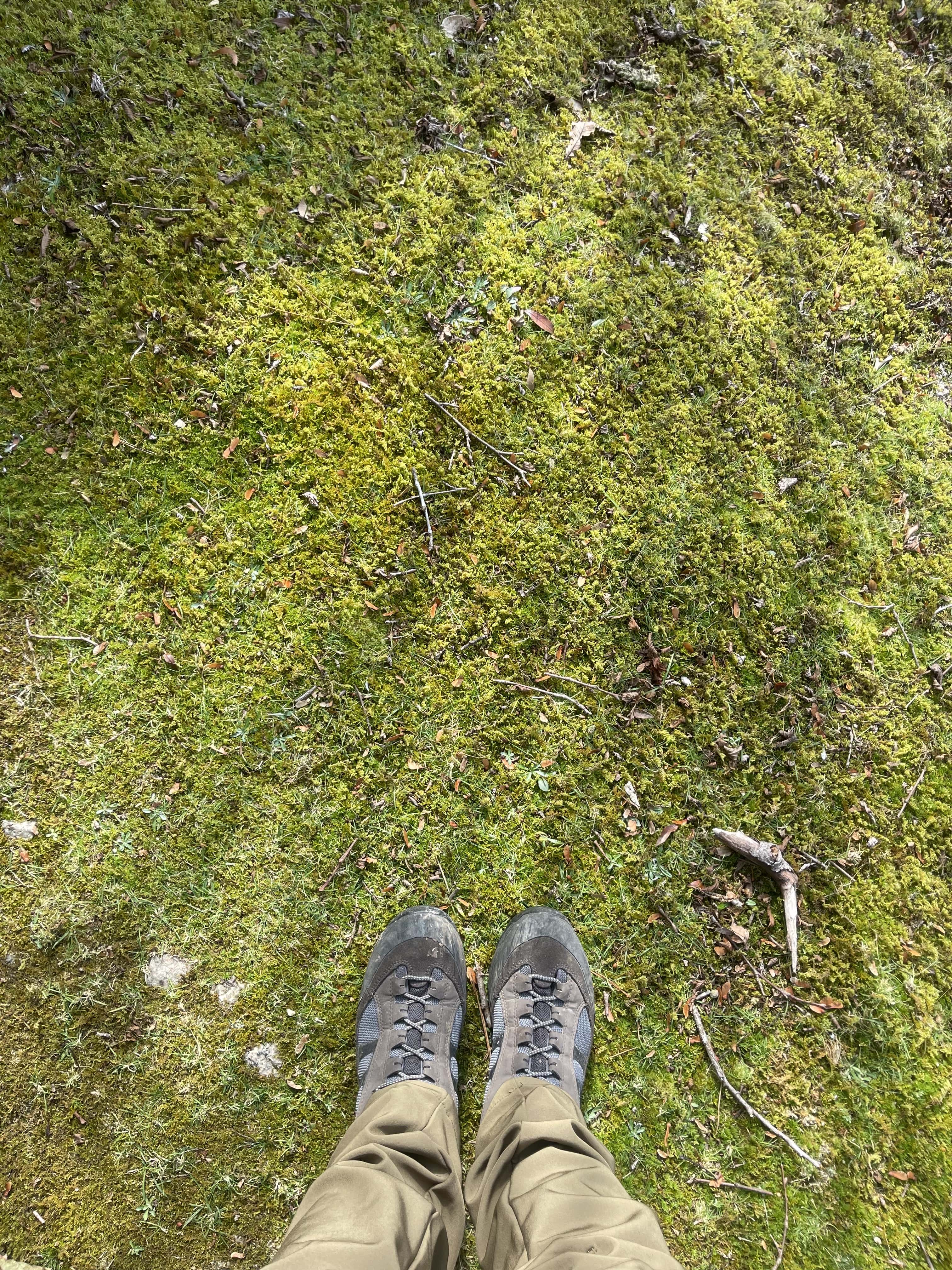 line_oa_chat_251128_153414-min