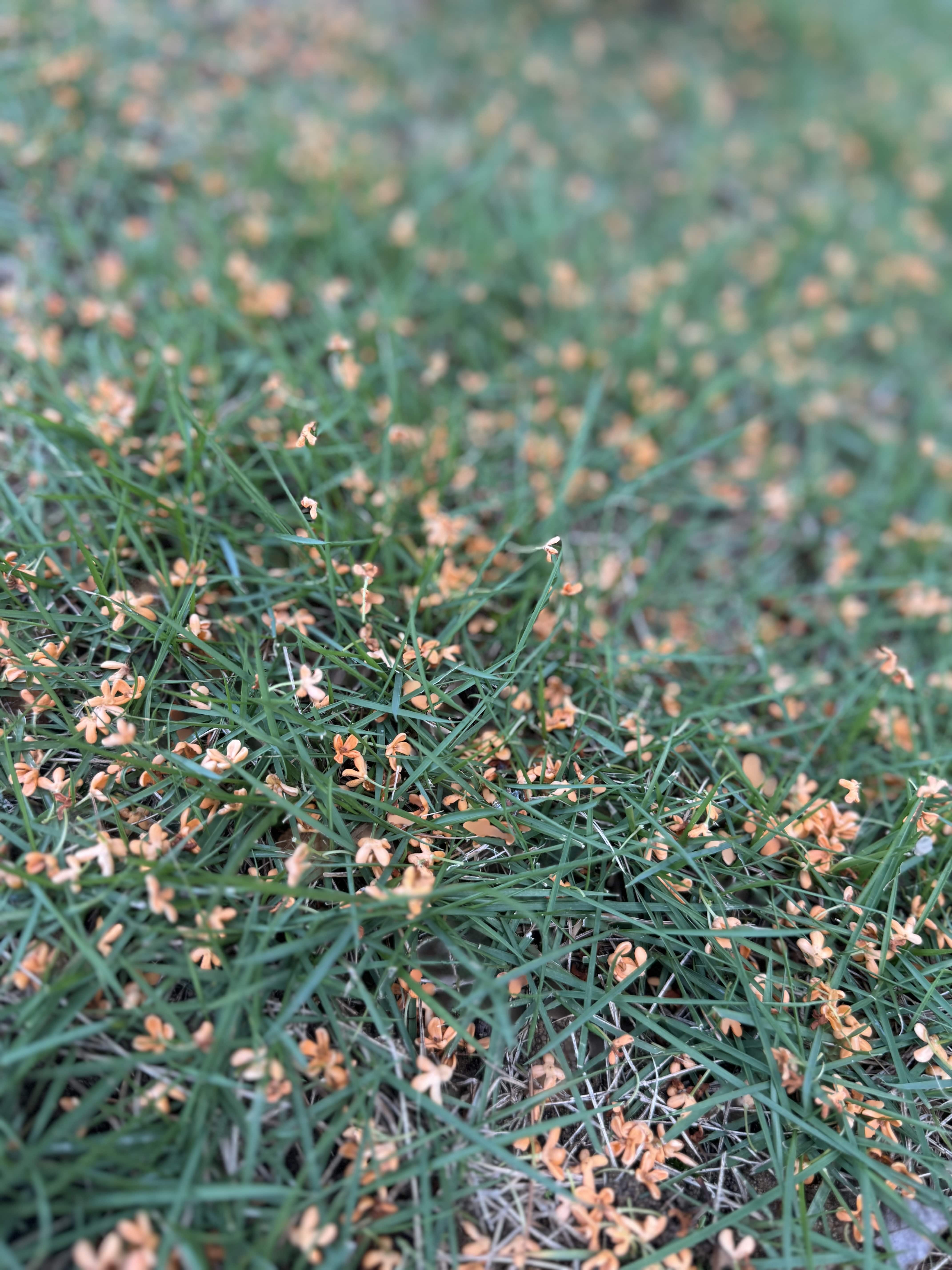 line_oa_chat_251128_153729-min