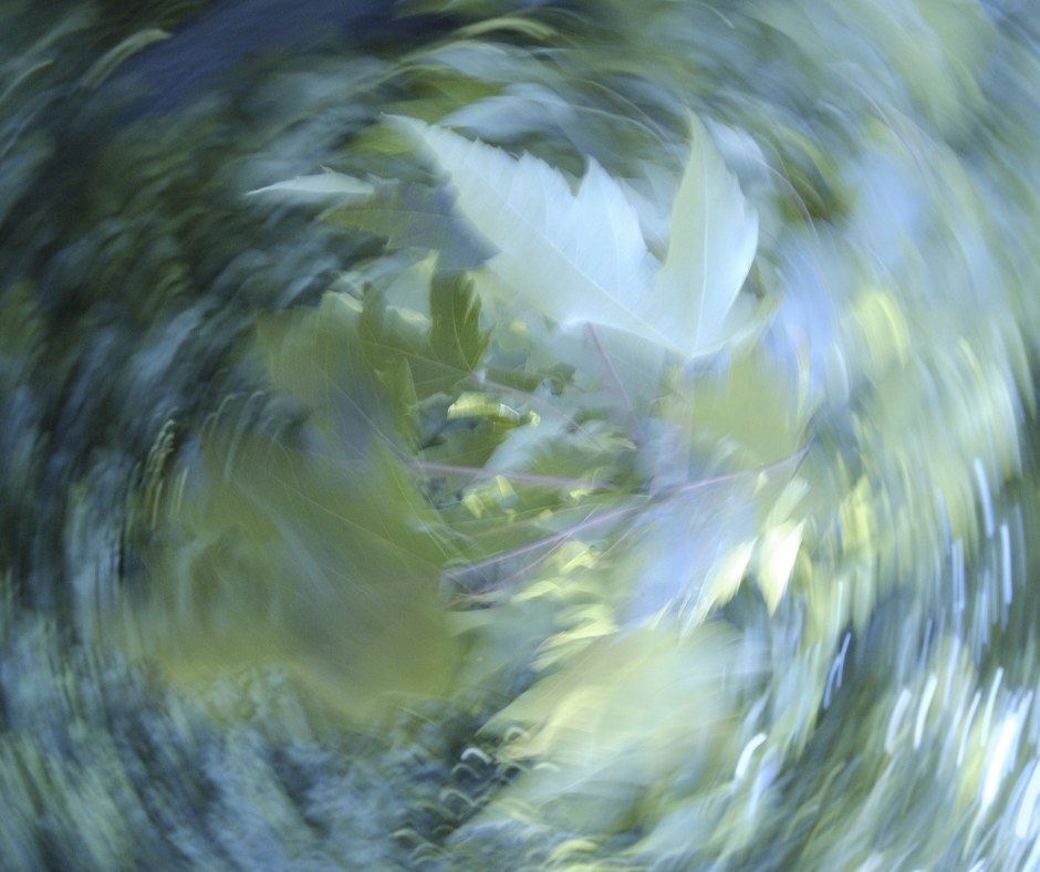 line_oa_chat_251210_220545