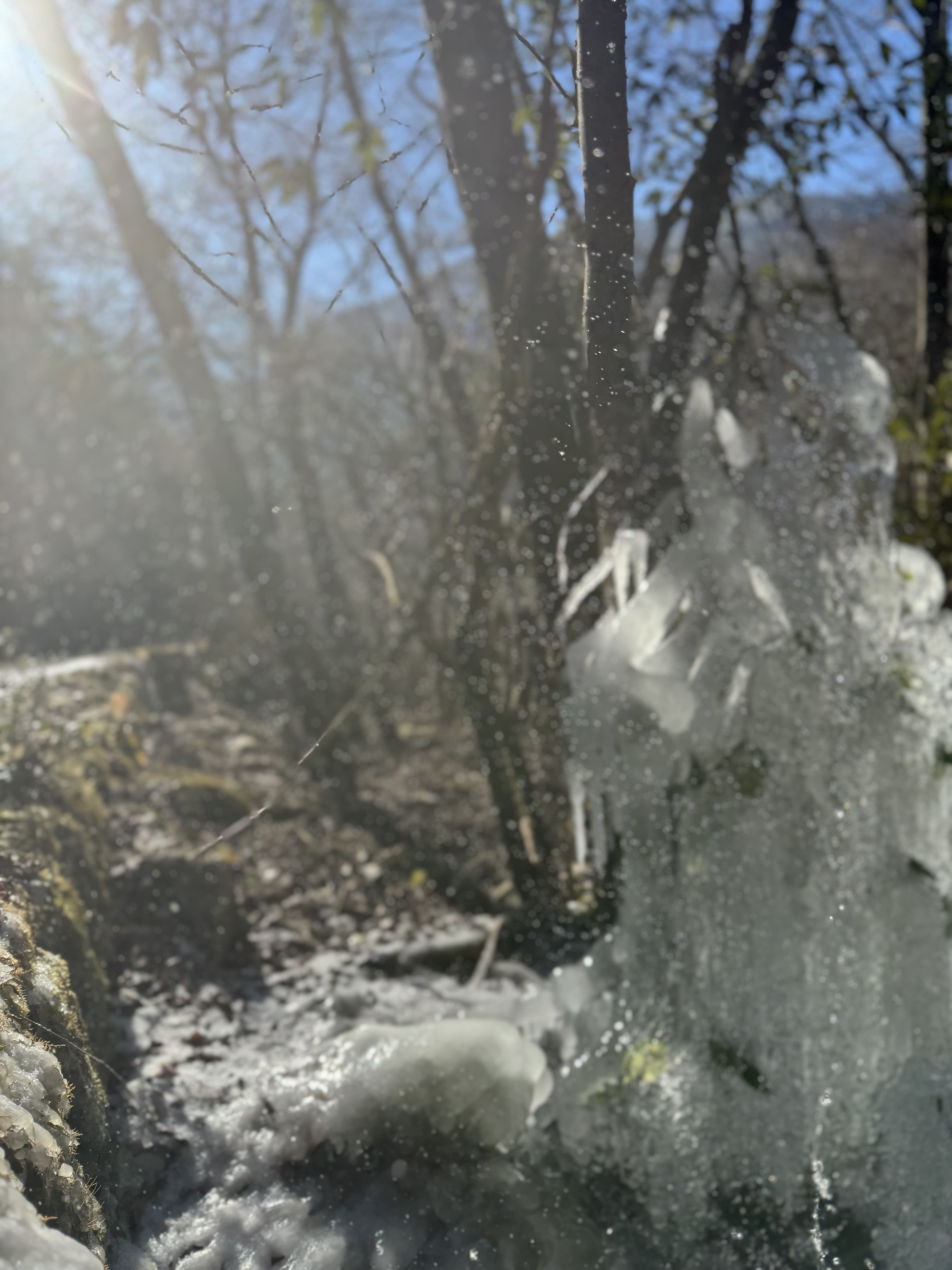 line_oa_chat_251210_220550