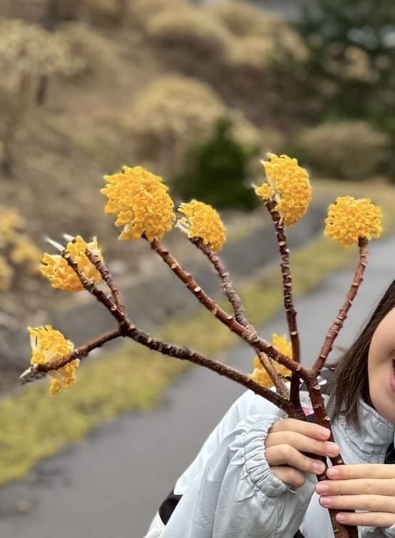 line_oa_chat_260226_153946 (2)